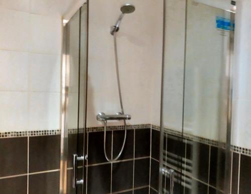 une douche avec une porte vitrée dans une salle de bain dans l'établissement Appartements Le Vivier 1er ou rez de chaussée avec parking, à Boulogne-sur-Mer