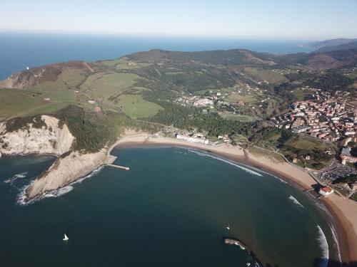 an aerial view of a beach and the ocean at Precioso piso entre playa y monte in Górliz-Elexalde