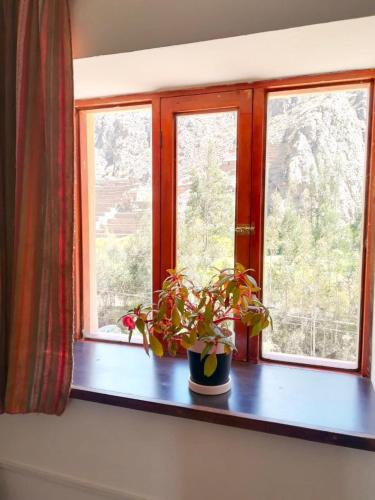 a window with a potted plant on a window sill at Casa Patacalle in Ollantaytambo
