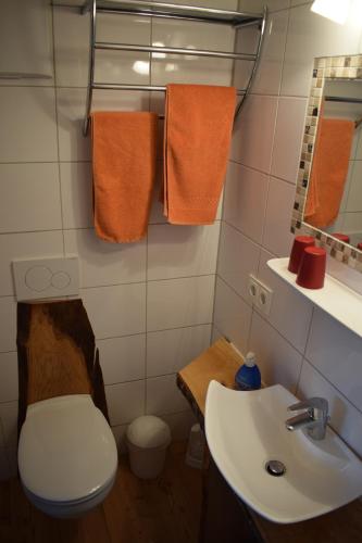 a bathroom with a toilet and a sink at Ferienhof Kleber Bauernhof - mit KönigsCard in Seeg