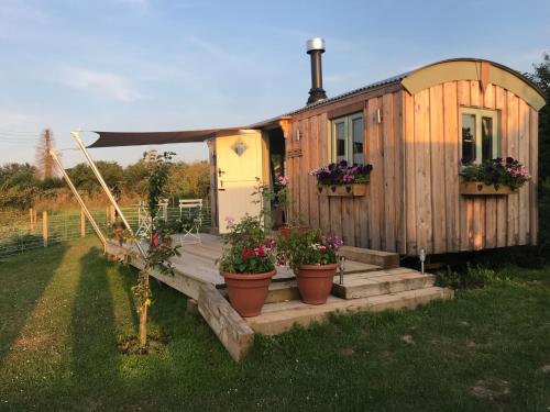 Photo de la galerie de l'établissement Willowbank shepherds hut, à Taunton