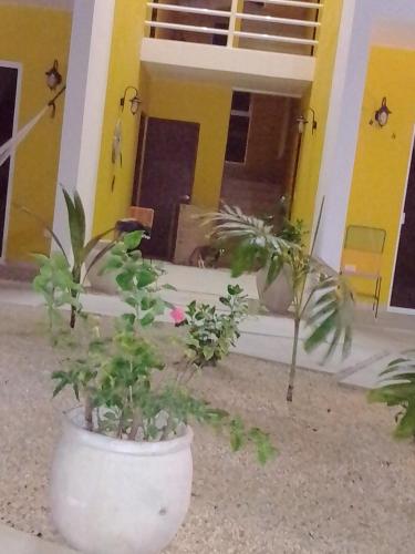 Φωτογραφία από το άλμπουμ του posada tumben ka´a σε Tulum