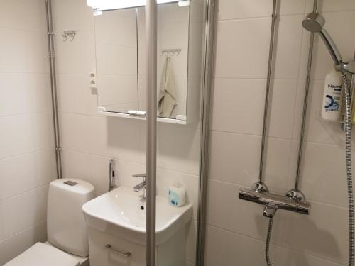 a bathroom with a toilet and a sink and a shower at Laajavuori Apartment in Jyväskylä