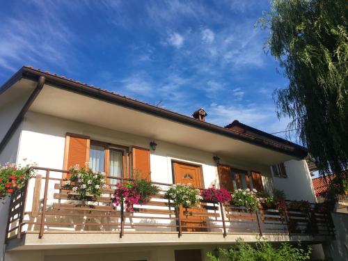 Φωτογραφία από το άλμπουμ του Farm Stay Pri Cepčovih σε Golac