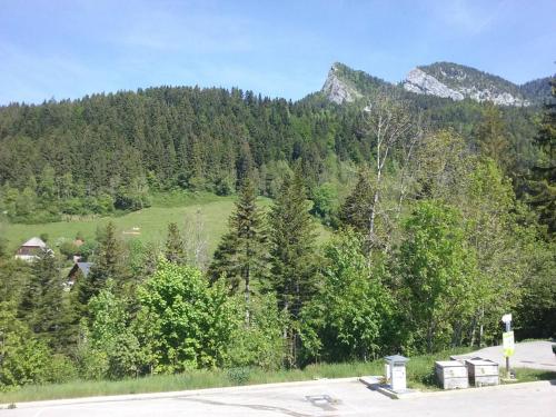 a view of a hill with trees and a mountain at Le Petit Som de Saint Pierre de Chartreuse in Saint-Pierre-de-Chartreuse