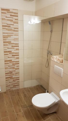 a bathroom with a shower and a toilet and a sink at Apartment Magura in Donovaly