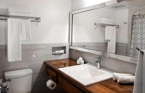 een badkamer met een wastafel, een toilet en een spiegel bij THE ASHWOOD INN in Bayfield