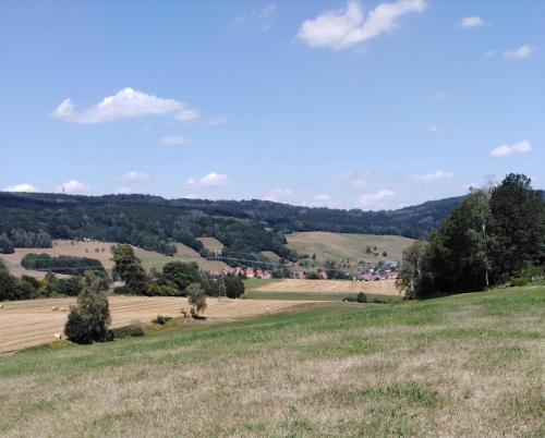a view of a field from the top of a hill at Landpension Haupt in Sebnitz