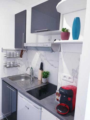 Il comprend une petite cuisine avec un évier et un comptoir. dans l'établissement All-In-One hyper centre La Rochelle, à La Rochelle