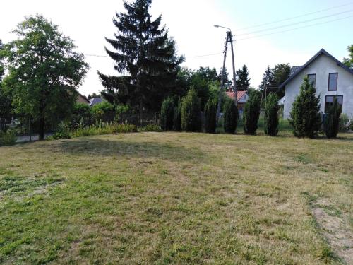 an empty yard with a house and a tree at Zaciszny Zakątek in Drohiczyn nad Bugiem