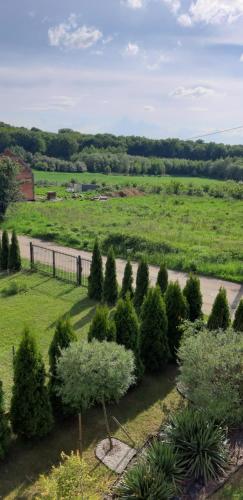 an aerial view of a garden with trees and a road at Przyjazny Domek in Tarnowskie Góry
