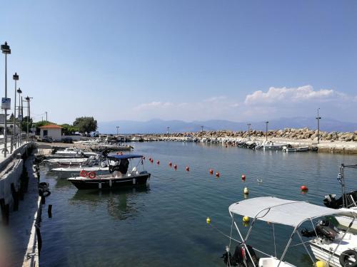 a group of boats docked in a harbor at Angel's Place by the Sea in Diakopto