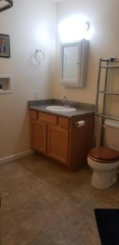 a bathroom with a sink and a toilet and a mirror at The Blueberry Suite in Sandpoint