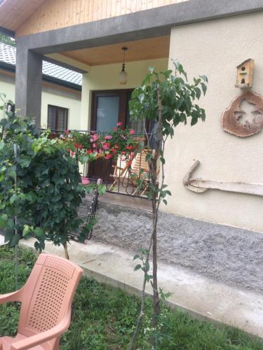 a pink chair sitting in front of a house at Taripiri in Ambrolauri