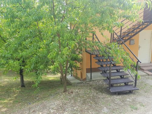 Κήπος έξω από το Apartman 2