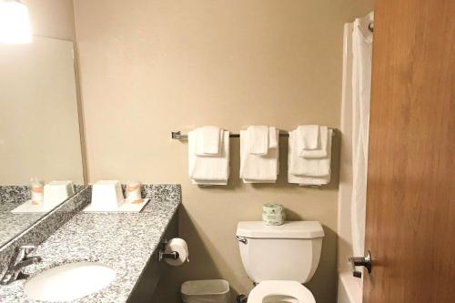 a bathroom with a toilet and a sink and a mirror at Econo Lodge in Mifflintown