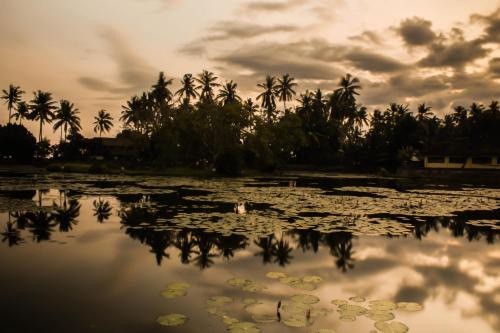 Bali Palms Resort – Photos 5