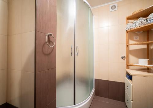 y baño con ducha y puerta de cristal. en Cro Behar 1 Apartment, en Zagreb