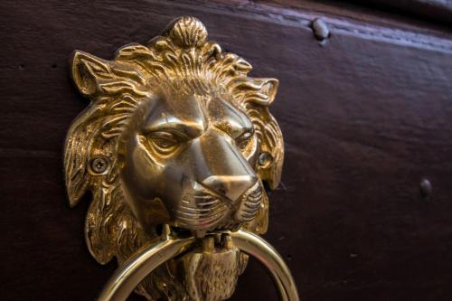 a gold lion door knocker on a wooden door at Loft & Espace Maison 1706 Lago Orta in Borgomanero