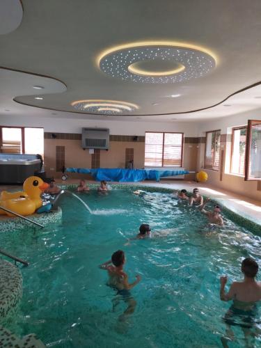 a group of people in a swimming pool at Bornemisza Kuria in Tiszabecs