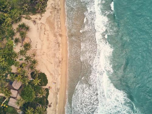 an overhead view of a beach with palm trees and the ocean at Playa Los Angeles in Los Naranjos