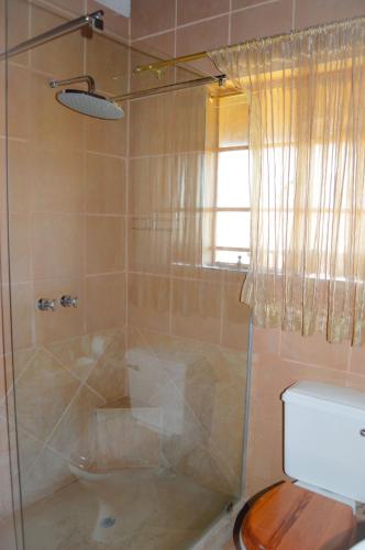 a bathroom with a shower with a toilet at Cheetau Lodge in Ebenhaezer