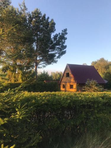 a house in a field with a tree in the background at Domek nad jeziorem Otalżyno in Pomieczyno