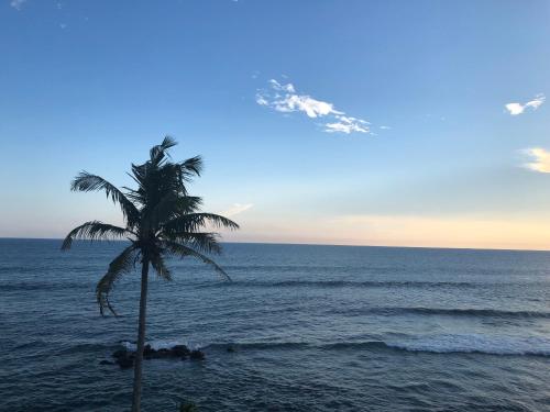 a palm tree on a beach with the ocean at Lighthouse Ahangama in Ahangama