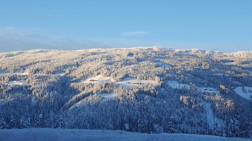 L'établissement Ferienhaus Elisabeth en hiver