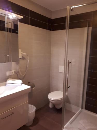 a bathroom with a toilet and a glass shower at Pension Kreuzinger, 5310 Tiefgraben in Mondsee