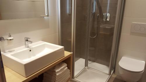 La salle de bains est pourvue d'un lavabo et d'une douche. dans l'établissement Residence Klementhof, à Naz-Sciaves