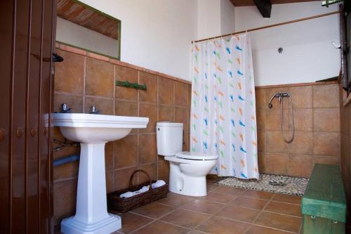 W łazience znajduje się umywalka, toaleta i prysznic. w obiekcie Cortijo del Coco w mieście Fuente de Piedra