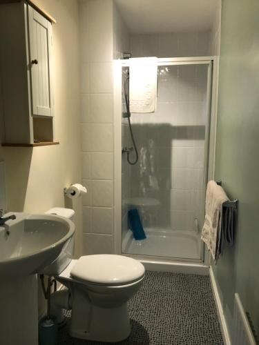 a bathroom with a shower and a toilet and a sink at Sea Breeze in Bangor