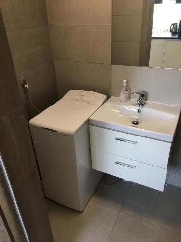a bathroom with a white sink and a mirror at Silver Residence in Rabka
