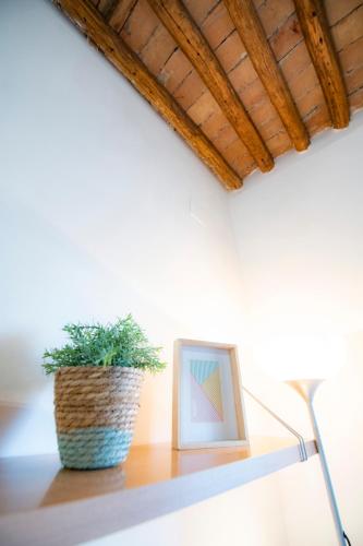 a plant sitting on a shelf next to a picture at Carmen Aljibe de la Miel in Granada