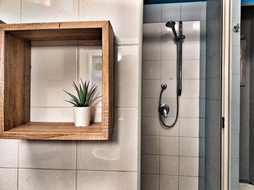 a bathroom with a shower with a potted plant at Ostello degli Elefanti in Catania