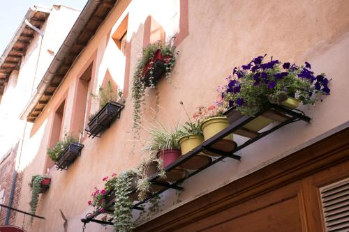 Galería fotográfica de Zenao Albi - Résidence Stella en Albi