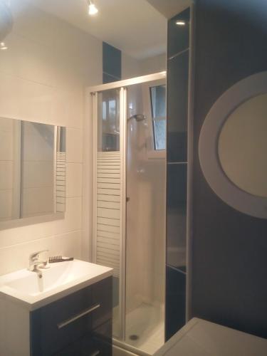 une salle de bain avec une douche et un lavabo et une douche dans l'établissement Les cigognes, à Bagnoles-de-l'Orne