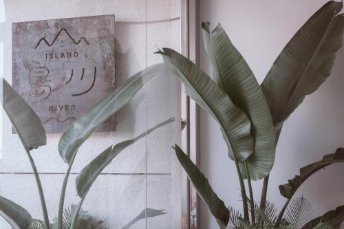 a plant in a room with a sign on the wall at Island River in Green Island