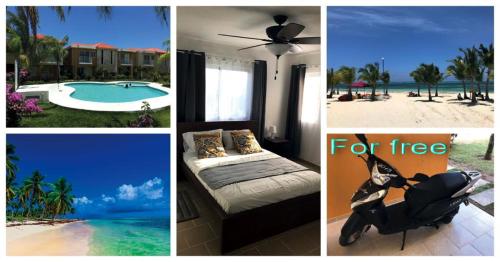 Gallery image of Punta Cana Apartment and scooter for free in Punta Cana