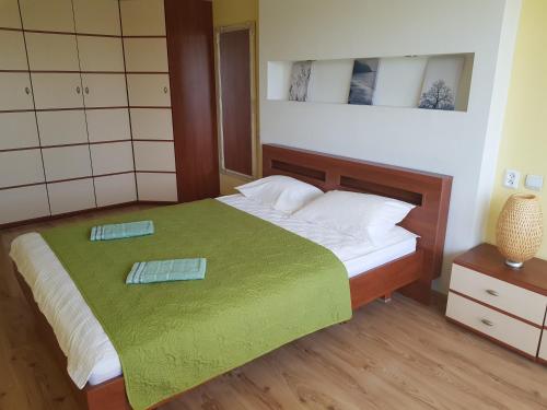 a bedroom with a bed with a green blanket at Aukštaičių apartamentai in Rokiškis