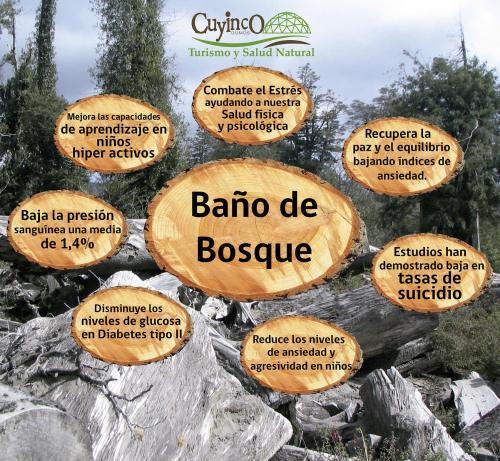 a bunch of signs on top of some rocks at Cuyinco Domos in Riñinahue