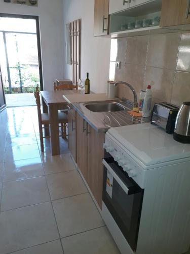 a kitchen with a sink and a stove top oven at Apartments Dionis in Kotor