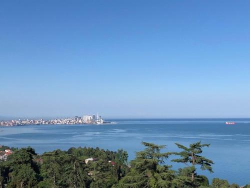 Φυσικό τοπίο κοντά σε αυτή η παραθεριστική κατοικία