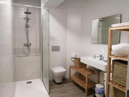 La salle de bains est pourvue d'une douche, de toilettes et d'un lavabo. dans l'établissement Estudio-apartamento Cancún, à Teruel
