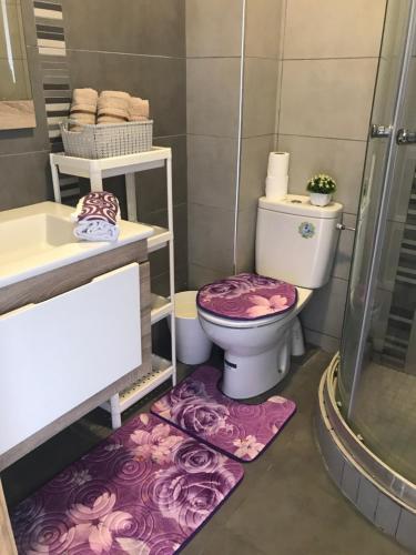 a bathroom with a toilet and a sink and a shower at Appartement Blanca Beach in Sidi Rahal