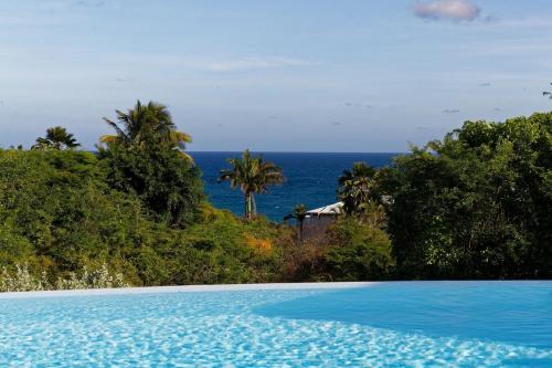 a swimming pool with the ocean in the background at Villa Kouleur Kafé in Sainte-Anne