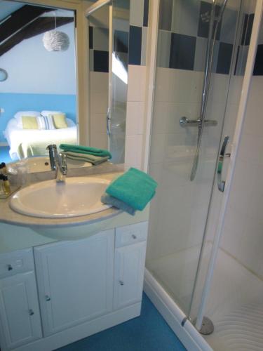 a bathroom with a sink and a shower at Le Camélia in Ruillé-Froid-Fonds
