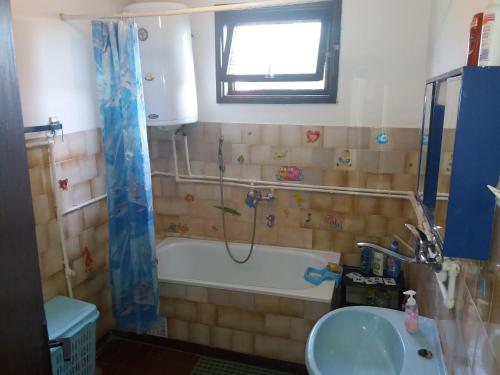 ein Badezimmer mit einer Badewanne und einem Waschbecken in der Unterkunft Traianov most in Kladovo