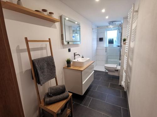 ein Badezimmer mit einem Waschbecken, einem WC und einem Spiegel in der Unterkunft Moderne 3BR Netflix,Kaffee,Wifi,Parken in Brand-Erbisdorf